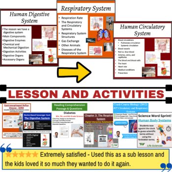 Human Body Systems Unit Bundle - Circulatory, Digestive, and Respiratory Systems, image 4