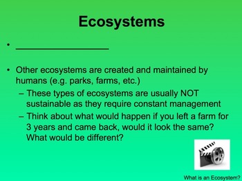 Ecology Lesson Bundle - Ecosystems,Cycling of Matter and Ecological Succession, image 2