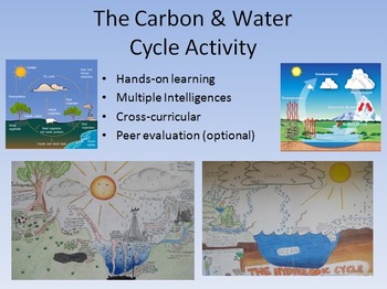 Ecology Lesson Bundle - Ecosystems,Cycling of Matter and Ecological Succession, image 3