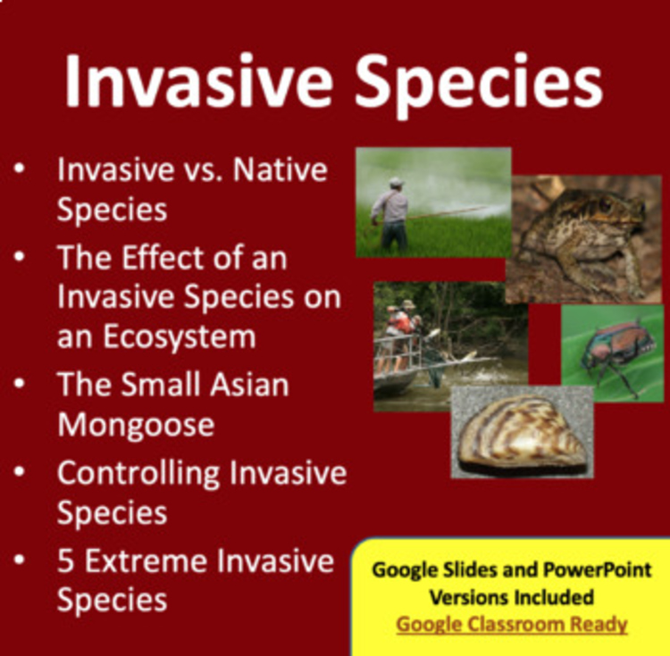 Invasive Species Lesson — Case Studies, Inquiry Project, Exit Ticket | Ecosystem