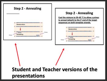 PCR and Gel Electrophoresis - Google Slides and Distance Learning Ready, image 2