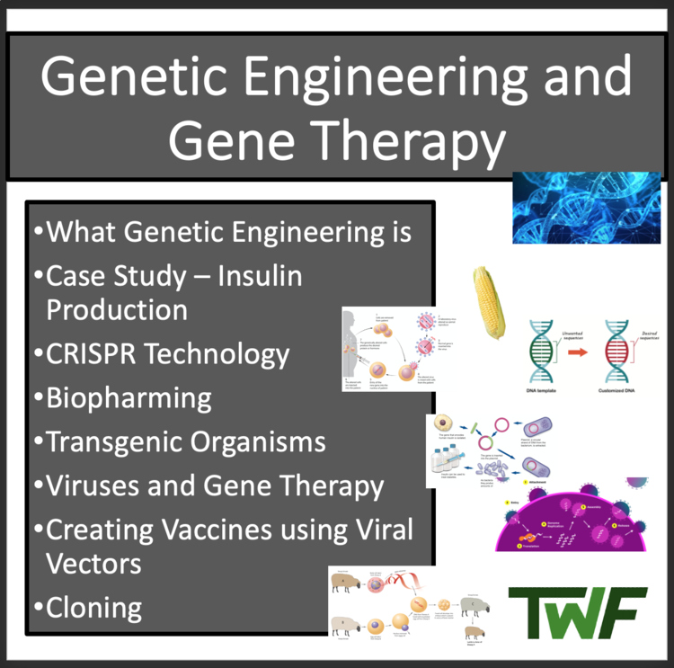Genetic Engineering and Gene Therapy - Google Slides and Distance Learning Ready
