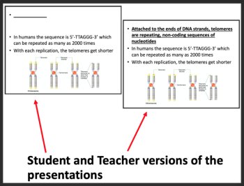 DNA Organization and Aging - Google Slides and Distance Learning Ready, image 2