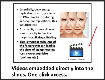 DNA Organization and Aging - Google Slides and Distance Learning Ready, image 3