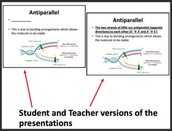 DNA Replication and Repair - Google Slides and Distance Learning Ready, image 3