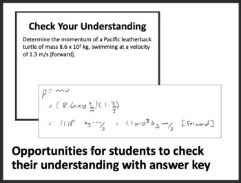 Momentum and Impulse Lesson | Physics Lesson, Inertia, Newton’s Second Law, image 2