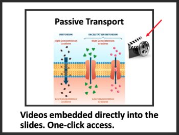 Cell Membrane and Transport - Introductory Lesson | Cell Transport, Diffusion, image 2