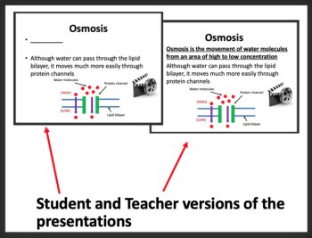 Cell Membrane and Transport - Introductory Lesson | Cell Transport, Diffusion, image 3