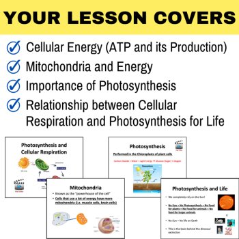 Cellular Respiration and Photosynthesis Lesson - 6th, 7th, 8th Grade | ATP, image 2