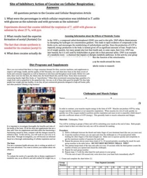 Metabolic Processes Bundle - 5 Activities, 1 Project, 2 Quizzes and 1 Unit Test, image 2