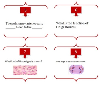 Biology: Cells and Body Systems Task Cards & Review Activity-Unique and Engaging, image 2