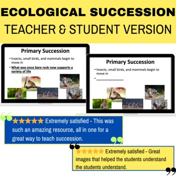 Ecological Succession Lesson - Primary and Secondary | Ecosystems, image 3