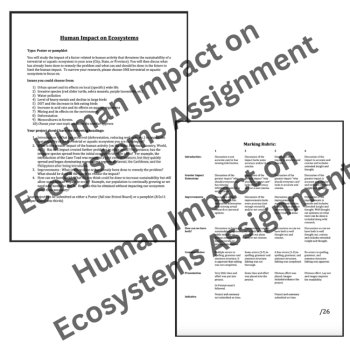 Human Impact on Ecosystems Assignment | Urban Sprawl, Pollution Ecology Activity, image 2