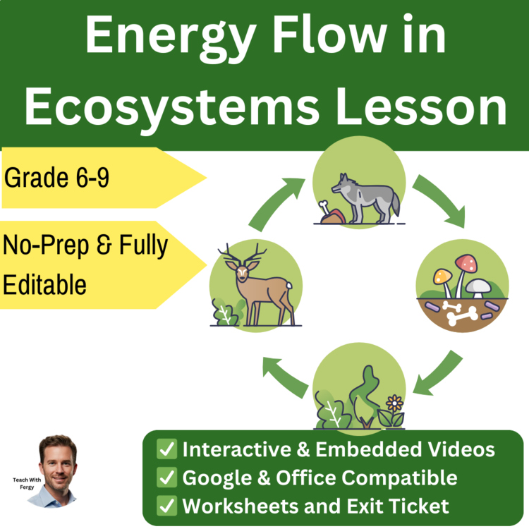 Energy Flow in Ecosystems Lesson | Photosynthesis, Cellular Respiration Food Web