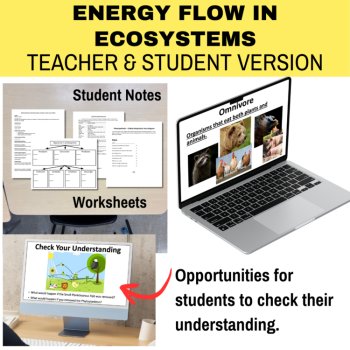 Energy Flow in Ecosystems Lesson | Photosynthesis, Cellular Respiration Food Web, image 2