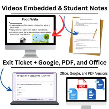Energy Flow in Ecosystems Lesson | Photosynthesis, Cellular Respiration Food Web, image 3