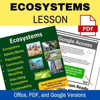 Ecosystems Lesson for Ecology | Abiotic and Biotic Factors, Sustainability Types, image 2
