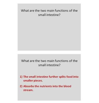 Biology Unit Review Questions - Cells and Body Systems, image 4