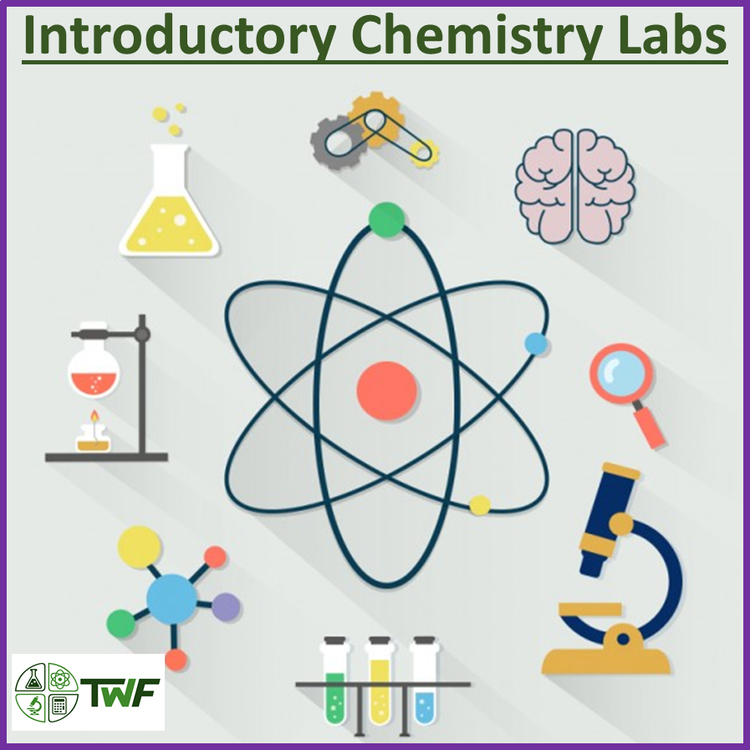 Introductory Chemistry Labs | Chemical Reactions, Conservation of Mass, pH