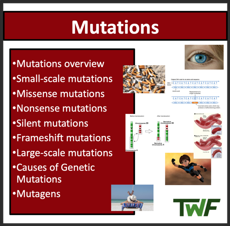 Mutations and Mutagens | Missense, Nonsense, Frameshift, and Silent Mutations