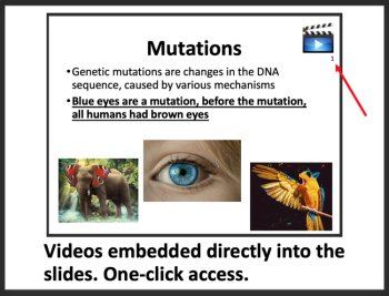 Mutations and Mutagens | Missense, Nonsense, Frameshift, and Silent Mutations, image 2