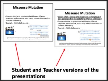 Mutations and Mutagens | Missense, Nonsense, Frameshift, and Silent Mutations, image 3