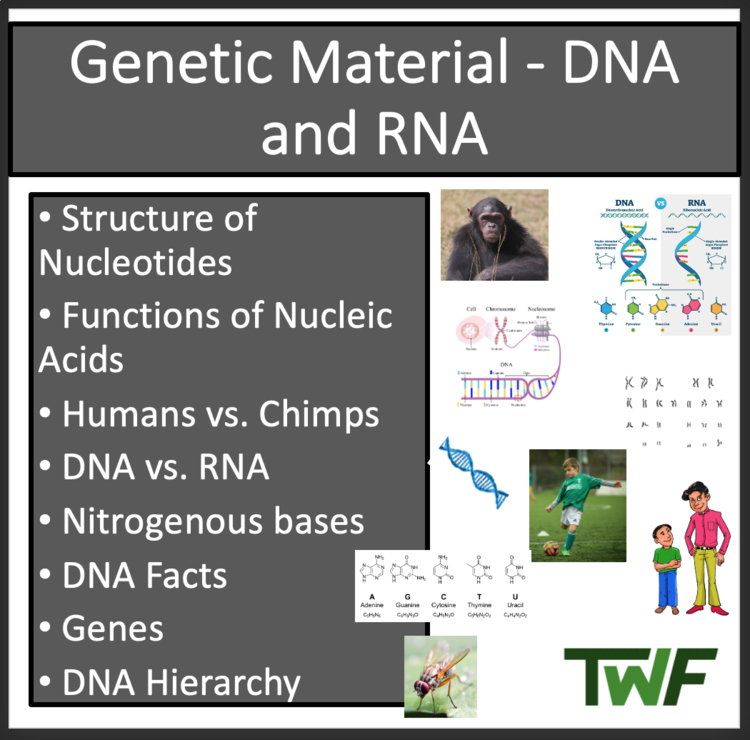 Genetic Material - DNA and RNA Lesson | Structure and Function of Nucleotides