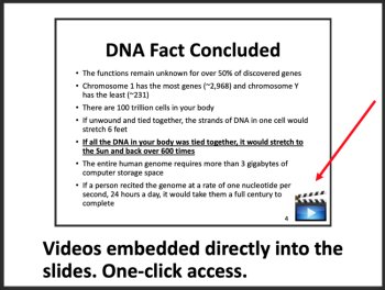 Genetic Material - DNA and RNA Lesson | Structure and Function of Nucleotides, image 2