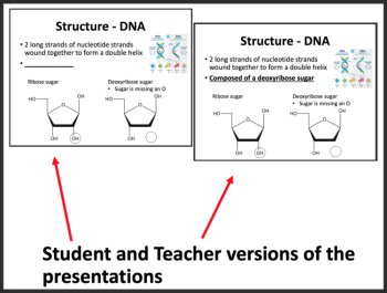 Genetic Material - DNA and RNA Lesson | Structure and Function of Nucleotides, image 3