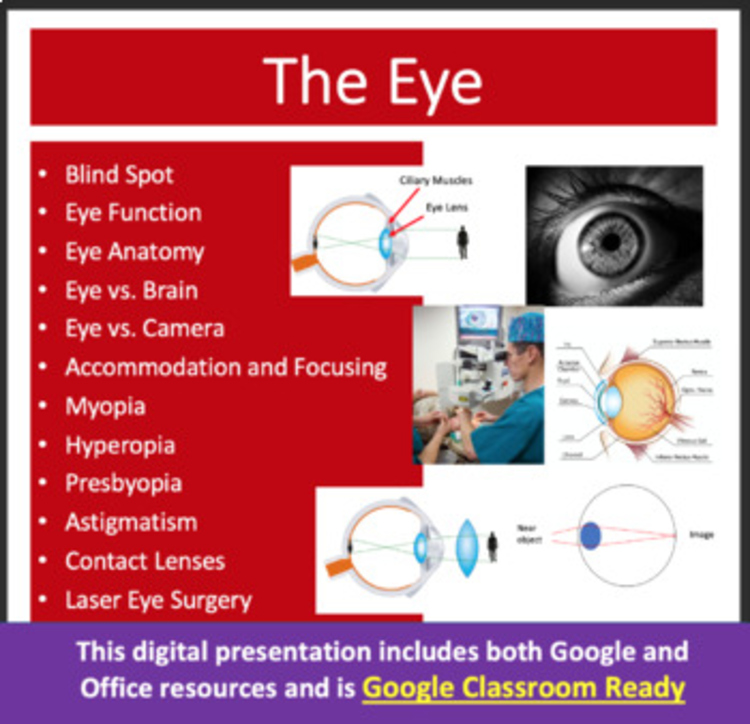 The Human Eye Lesson | The Human Visual System Lesson | High School Optics