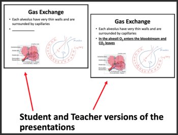 Respiratory System Lesson | Structure, Function, Diseases | 8th, 9th, 10th, 11th, image 3