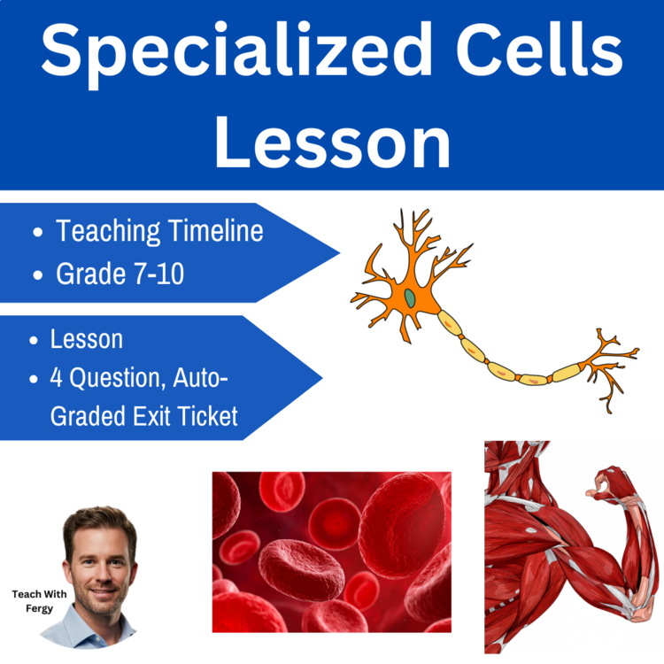 Specialized Cells Lesson | Hierarchy of Cells | Tissues, Organs, Systems