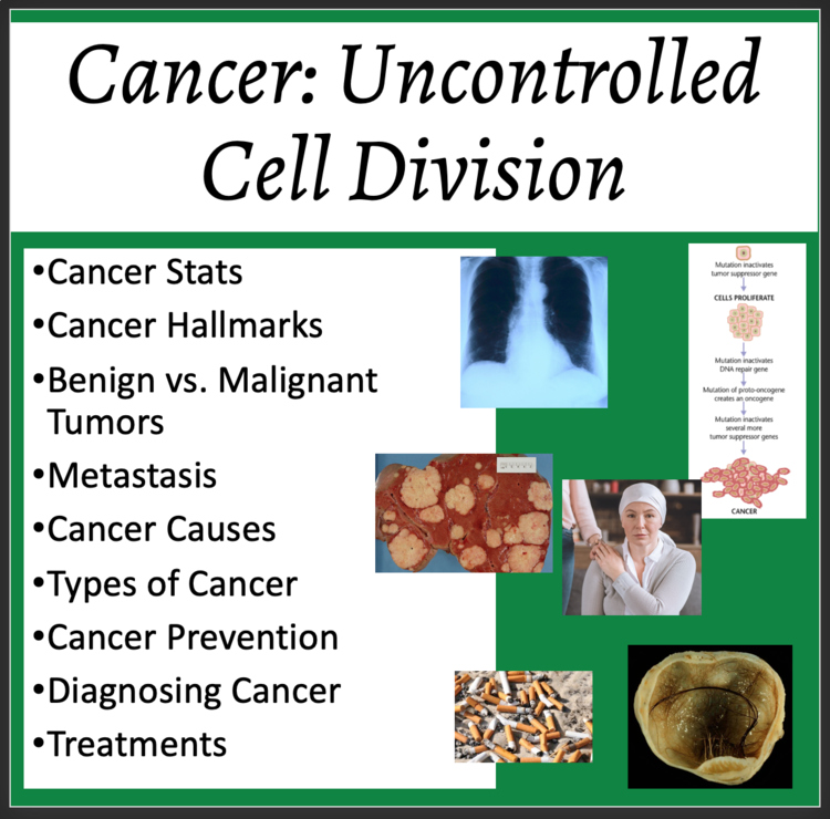 Cancer Uncontrolled Cell Division Lesson | Metastasis | 9th, 10th, 11th