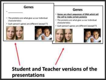 Mitosis & Cell Division Lesson | Cell Cycle, Cytokinesis | 8th, 9th, 10th, 11th, image 3