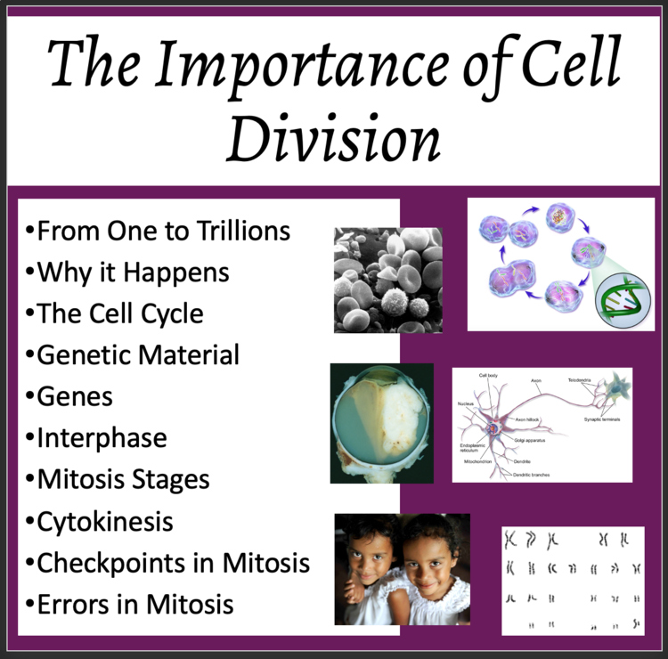 Importance of Cell Division Lesson | Reproduction, Growth | 7th, 8th, 9th, 10th
