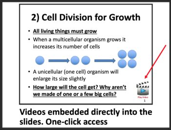 Importance of Cell Division Lesson | Reproduction, Growth | 7th, 8th, 9th, 10th, image 4