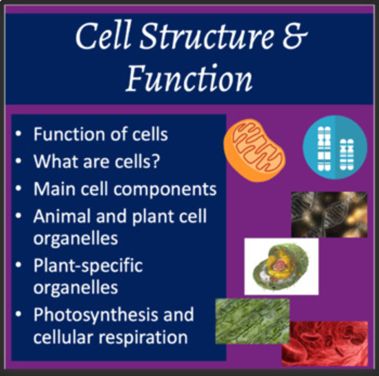 Cell Structure and Function Lesson | Animal & Plant Cells | 8th, 9th, 10th, 11th