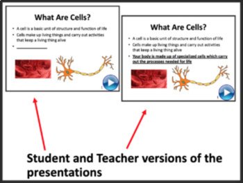 Cell Structure and Function Lesson | Animal & Plant Cells | 8th, 9th, 10th, 11th, image 3