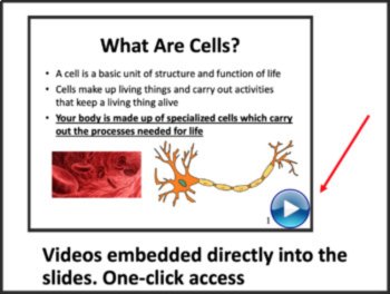 Cell Structure and Function Lesson | Animal & Plant Cells | 8th, 9th, 10th, 11th, image 4