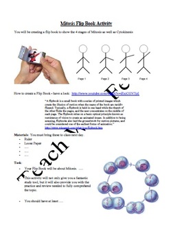 Mitosis Flip Book Activity - Hands-on Assessment | Cells Cycle, Organelles, image 2