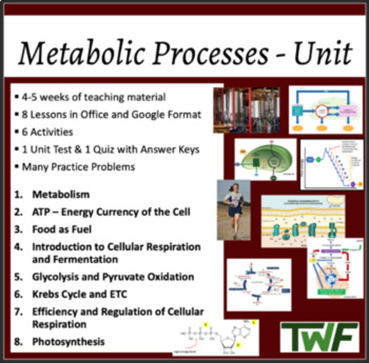 Metabolic Processes Unit - Lessons, Notes, Worksheets & Assessments
