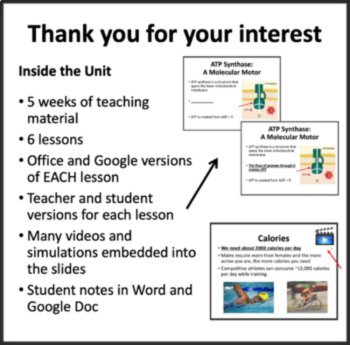 Metabolic Processes Unit - Lessons, Notes, Worksheets & Assessments, image 2