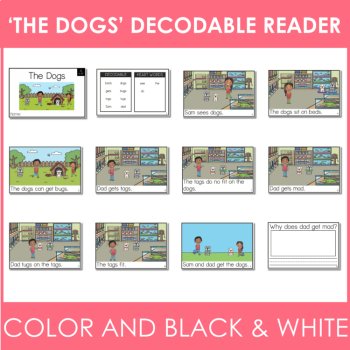 Kindergarten Decodable Reader - UFLI Scope Lesson 21 - Small Group Activities, image 2