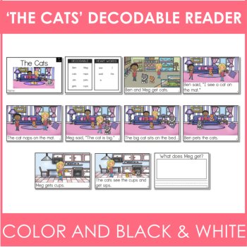 Kindergarten Decodable Reader - UFLI Scope Lesson 20 - Small Group Activities, image 2