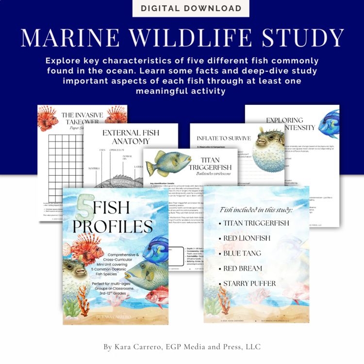Marine Wildlife Study: 5 Fish Characteristic Guide and Extension Activities