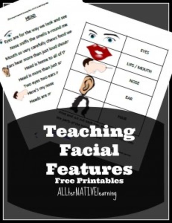 Head and Face Preschool Learning Activities