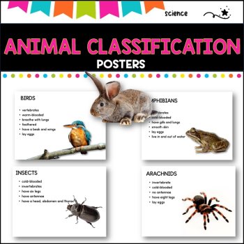 Animal Classification poster pack - with WILF, WALT cards, image 2