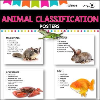 Animal Classification poster pack - with WILF, WALT cards, image 3