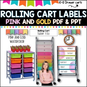 10 Drawer Rolling Cart Labels | PINK AND GOLD DESIGN I Teacher Trolley LABELS, image 2