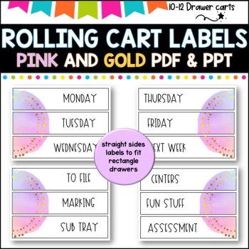 10 Drawer Rolling Cart Labels | PINK AND GOLD DESIGN I Teacher Trolley LABELS, image 3
